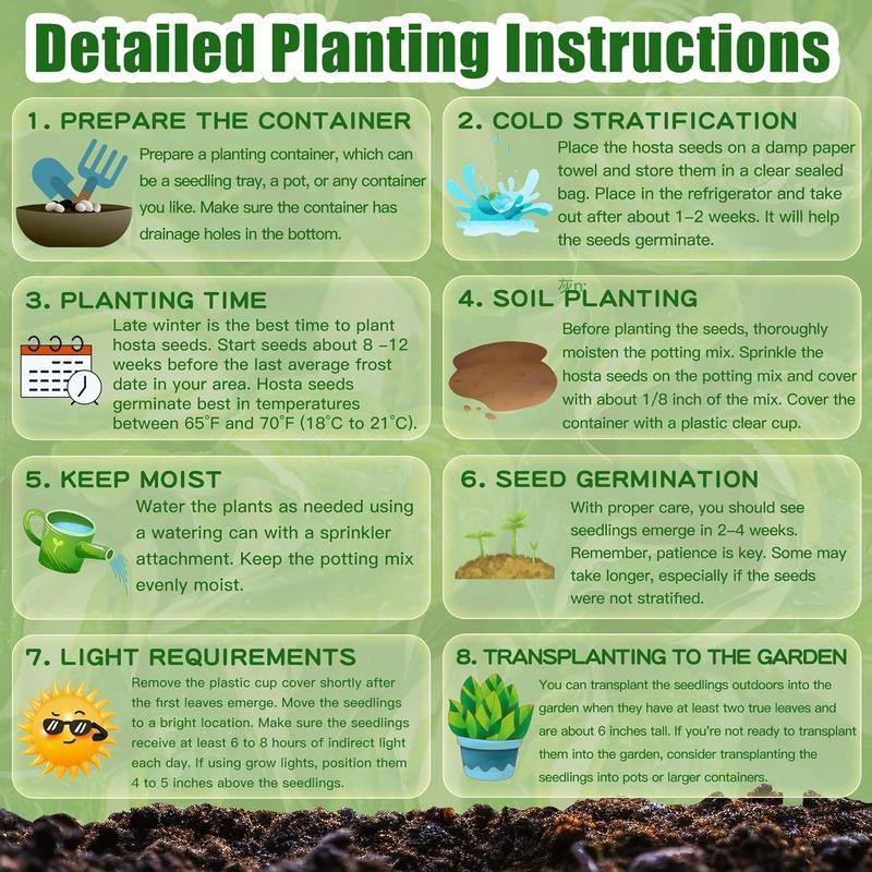 🎁2025 Special Offer🍃 Rare Hosta Flower Seeds🌿