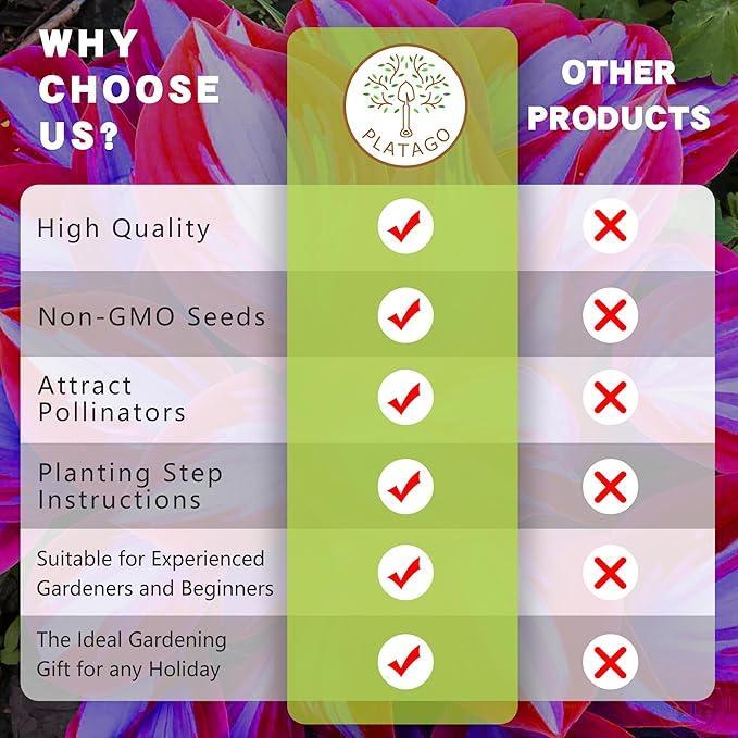 🎁2025 Special Offer🍃 Rare Hosta Flower Seeds🌿